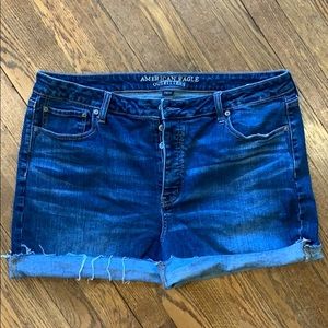 American Eagle Cutoff Jean Shorts